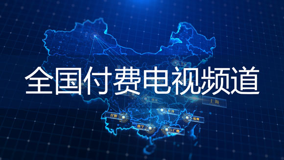 2021年全国付费电视频道
