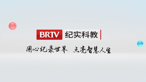北京纪实科教频道在线直播 北京纪实科教频道在线直播
