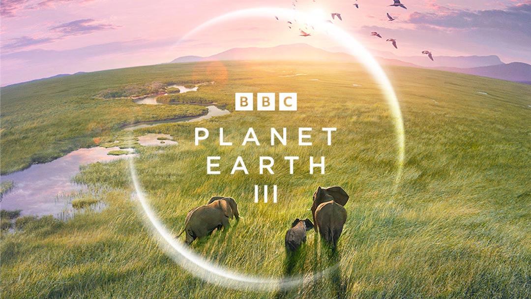 BBC纪录片《地球脉动3》全网来袭 BBC纪录片《地球脉动3》全网来袭