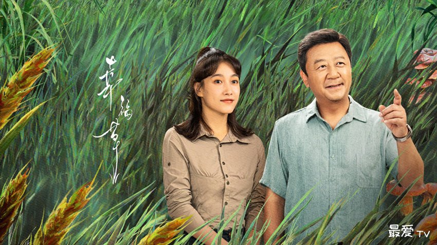 《幸福草》分集剧情(1-24集) 《幸福草》分集剧情(1-24集)