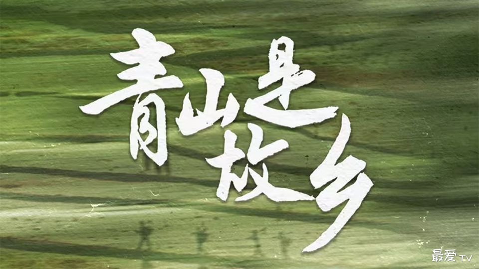 《青山是故乡》分集剧情（1-29集）