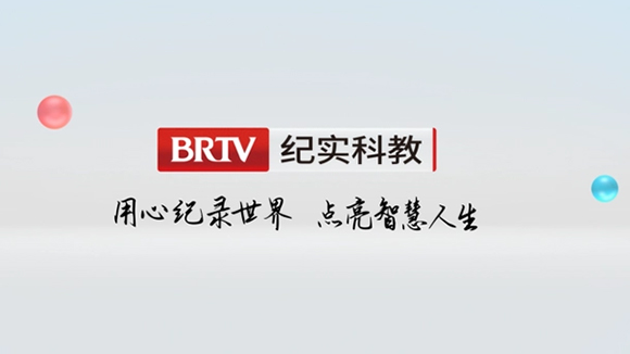 北京纪实科教频道在线直播
