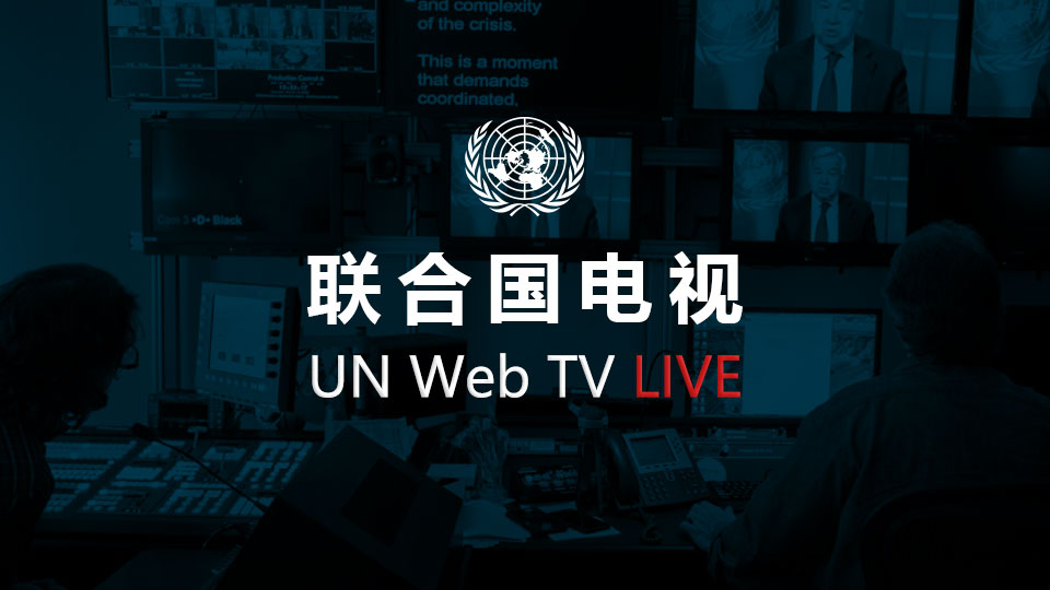 联合国电视直播