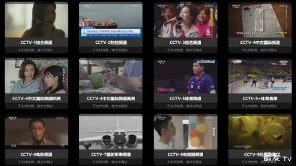 央视和地方卫视IPTV动态缩略图