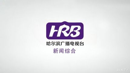 哈尔滨新闻综合频道在线直播