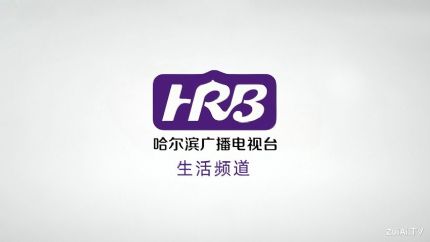 哈尔滨生活频道在线直播