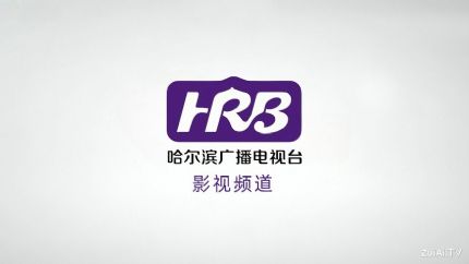 哈尔滨影视频道在线直播