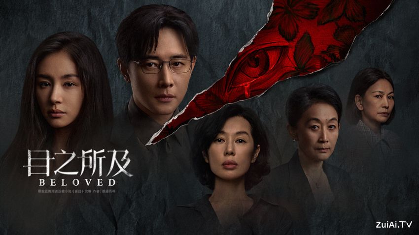 《目之所及》分集剧情(1-16集) 《目之所及》分集剧情(1-16集)