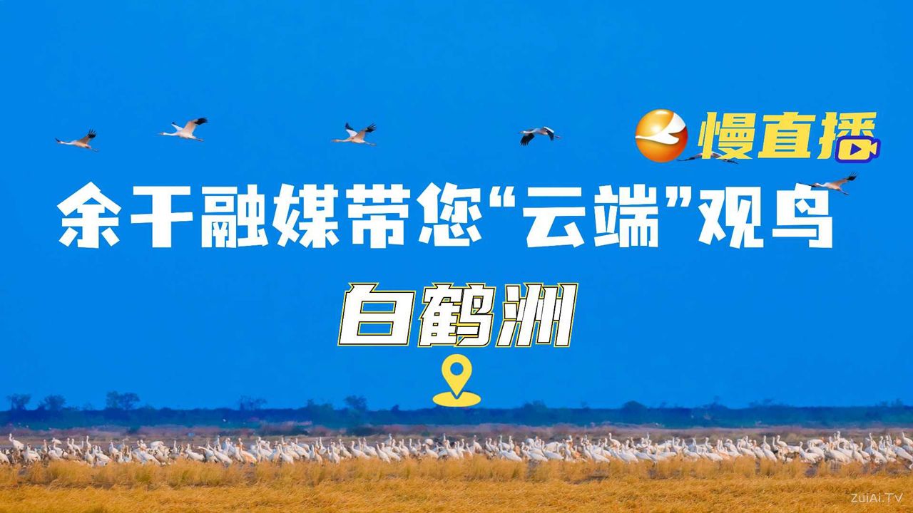 余干“云端”观鸟慢直播在线观看 余干“云端”观鸟慢直播在线观看