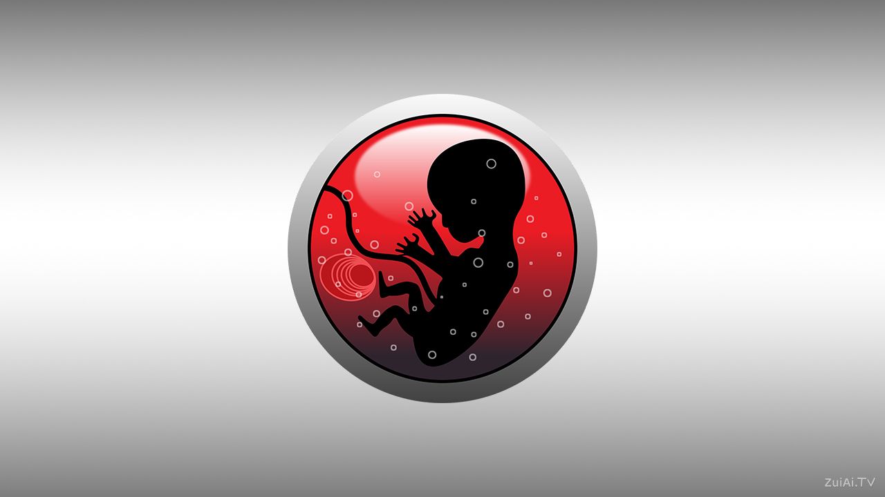 《Z星人地球生存指南》开始4：一切开始之前