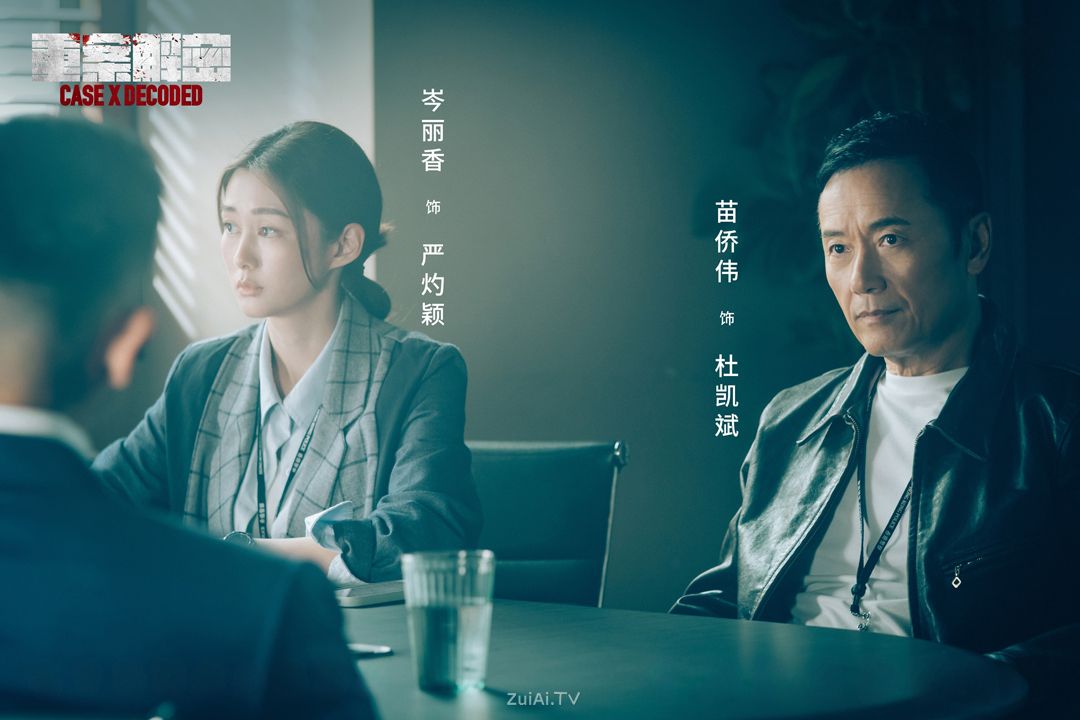 《重案解密》分集剧情（1-12集）
