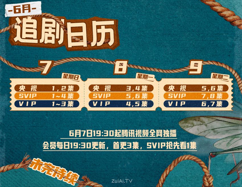 《迷墙》追剧日历 《迷墙》追剧日历
